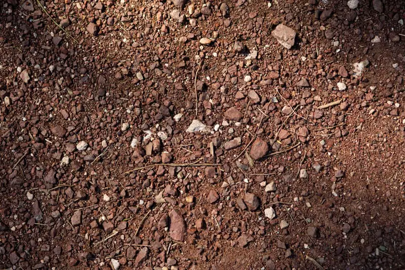 Best Surface Materials For Outdoor Playgrounds 2 Canva Brown Soil