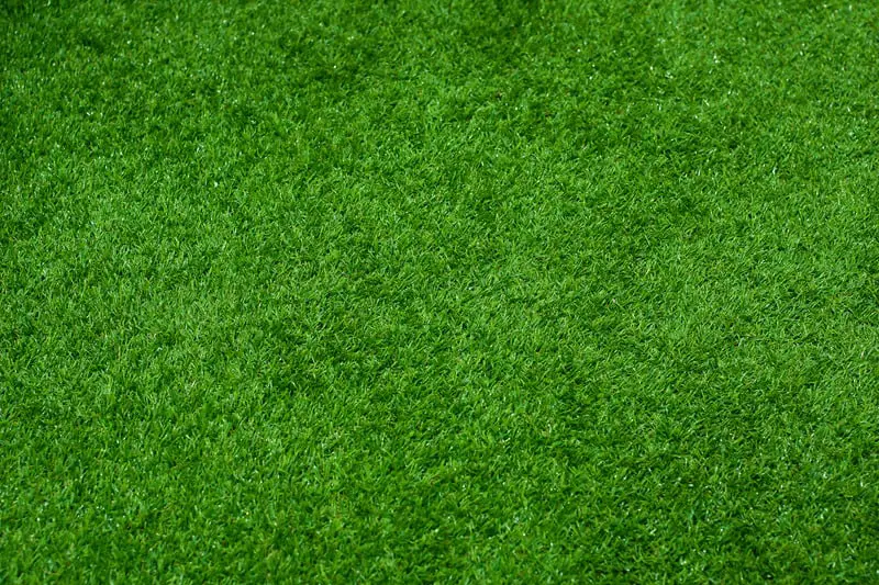Best Surface Materials For Outdoor Playgrounds 5 Canva artificial grass