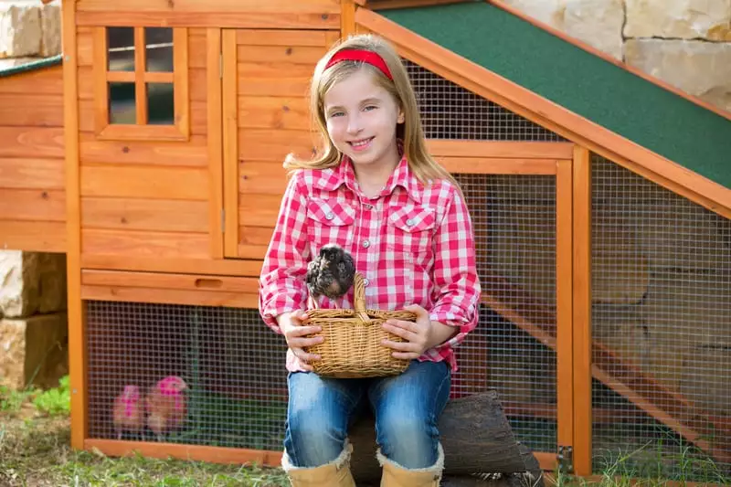Make A Chicken Coop with old wooden playset