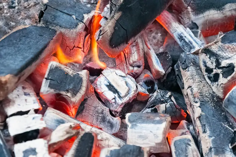 Canva Burning charcoal in BBQ Grill Pit . Cooking grilling.