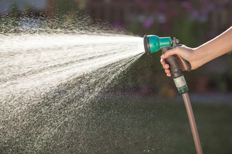 How to Put Out a Charcoal Grill Safely: Step by Step 2 Canva Lawn Watering