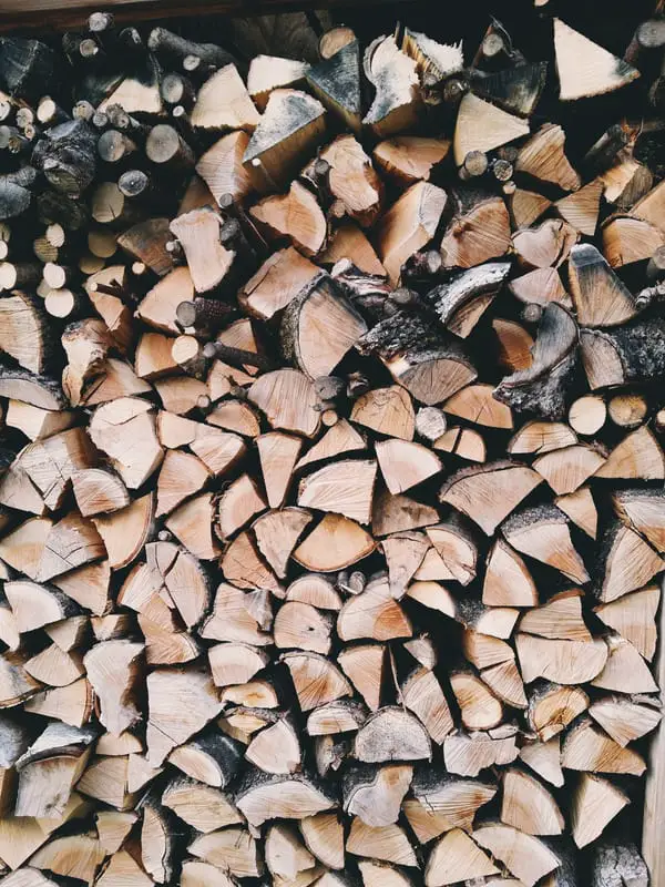 How to Start a Wood Burning Fire Pit: It's Easier Than You Think 2 Canva Brown and Grey Fire Wood