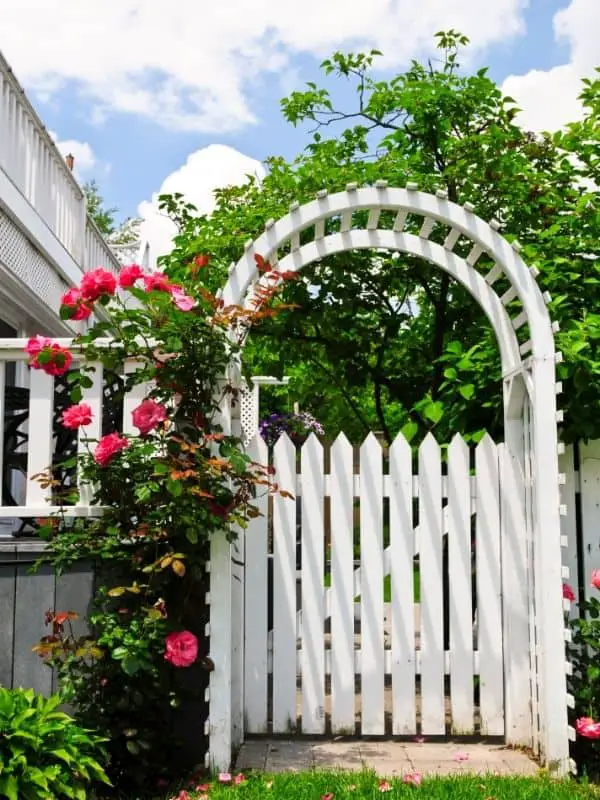 What's the Difference Between a Pergola and an Arbor? 3 Untitled design 49