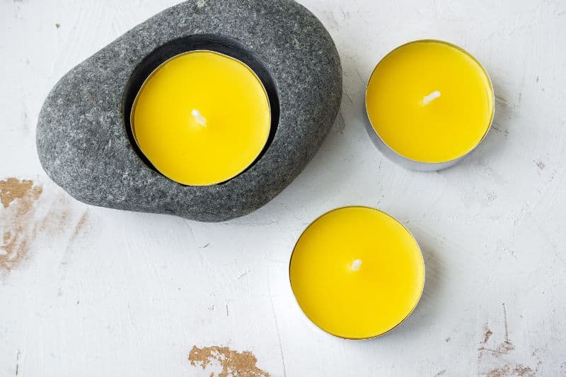 Do Citronella Candles Repel Flies? 13 Does Citronella Repel Flies