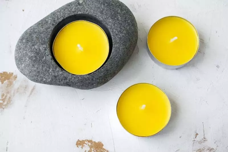 Does Citronella Repel Flies