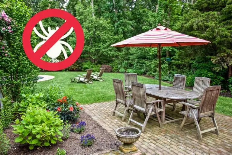 How To Keep Spiders Out of Patio Furniture (7 Simple Ways)