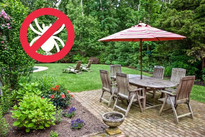 How To Keep Spiders Out of Patio Furniture