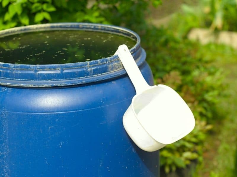 Does Rain Barrel Water Go Bad? 2 Untitled design 95