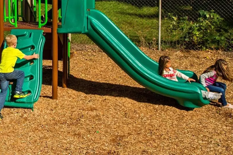 Engineered Wood Fiber