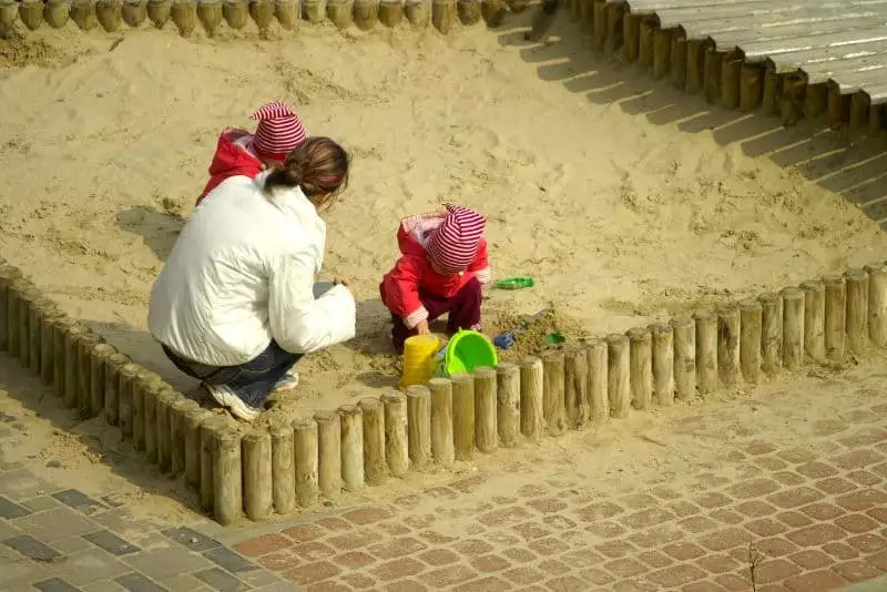 How To Get Rid of Bugs in Your Sandbox