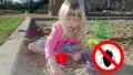 How To Keep Bugs Out of Sandbox