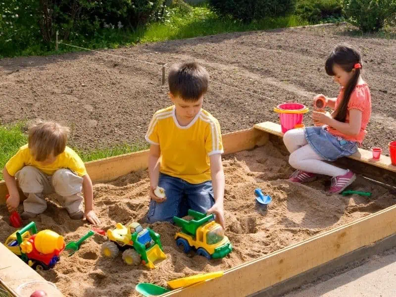 Your Backyard Is Their Favorite Place