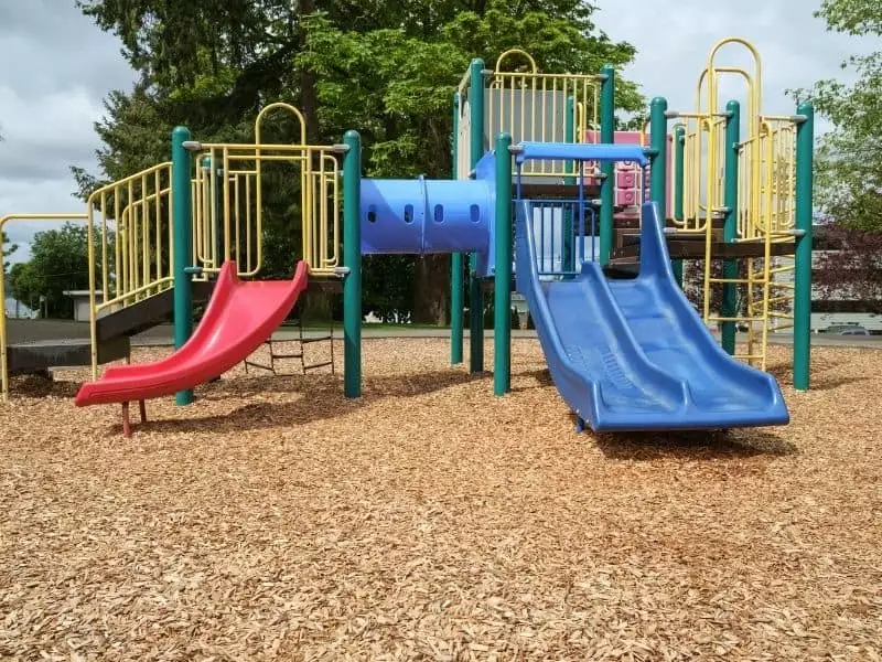 Wood Chips