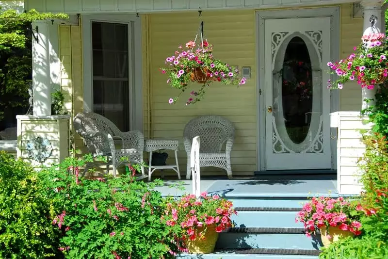 Porch with two wicker chairs surrounded by vibrant pink flowering plants, positioned to deter cats, with a decorative white door in the background