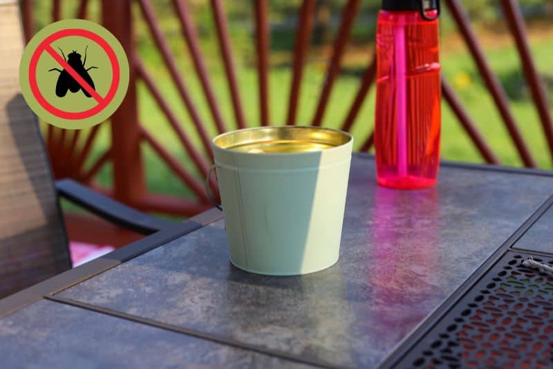 Do Citronella Candles Repel Flies