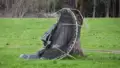 How To Keep a Trampoline from Blowing Away
